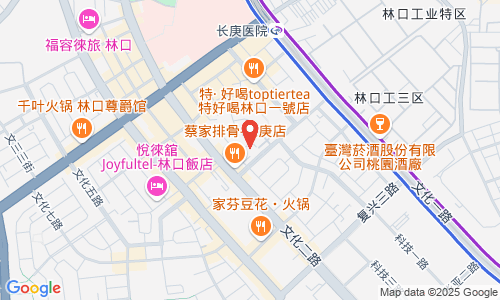 333 桃园市龟山区南上路520巷3号